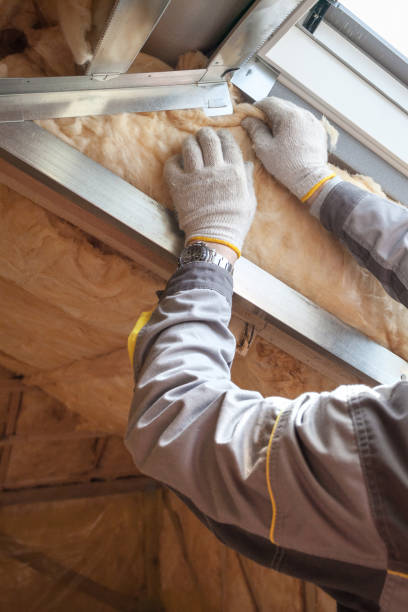 Best Attic Insulation Installation  in Amboy, IL